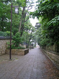 yuzu5