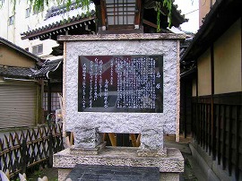 shima2