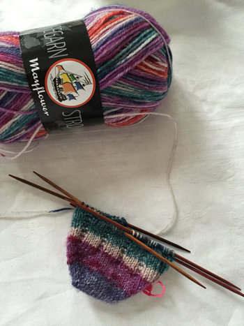 Mayflower socks on the go