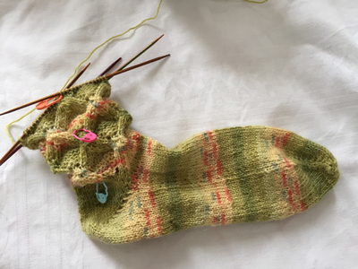 Lotus Socks on the go