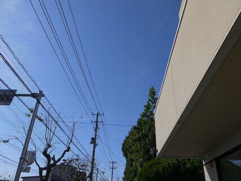 001.JPG