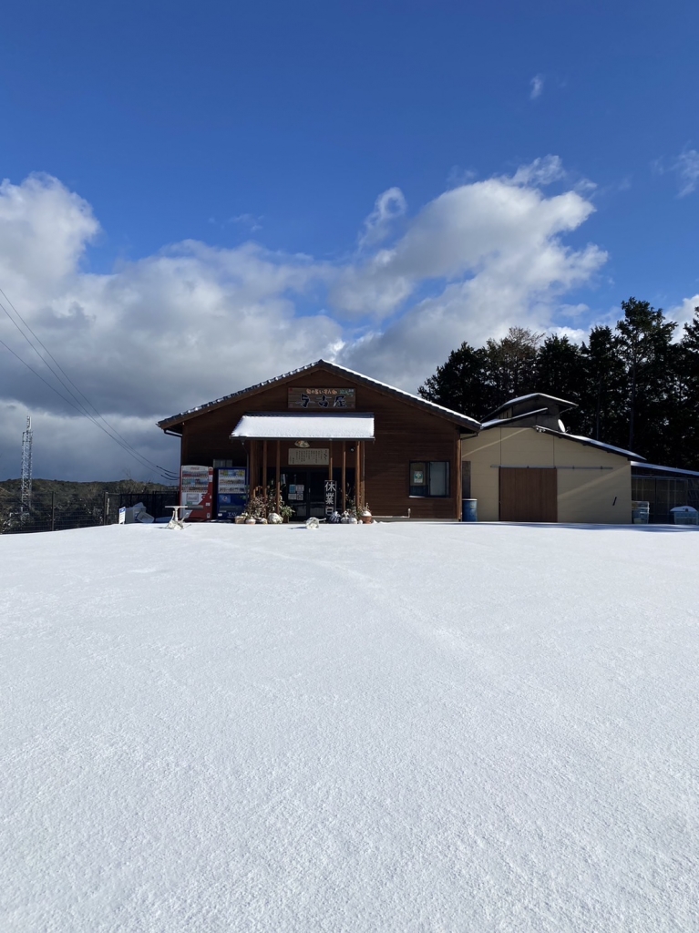 牡蛎 美し国（かきうましくに） 浦村かき・共栄物産 カキ食べ放題 お食事処 昼食『与吉屋（よきちや）』