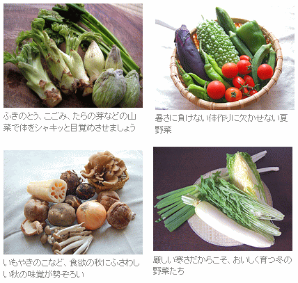 旬の野菜