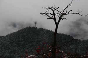 冬山景色