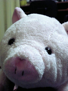 20061010_88340.JPG