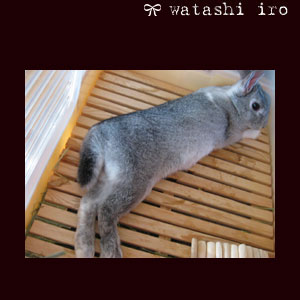 だらだーら