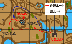 亀