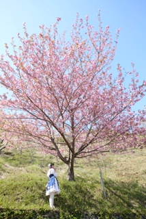 image1.JPG