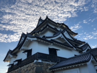 image2.jpeg