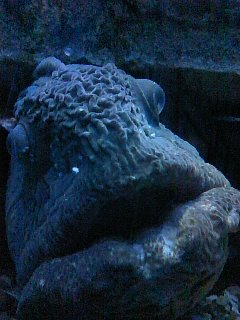 110621_1517~01.jpg