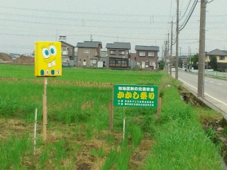 2012092313590000.jpg