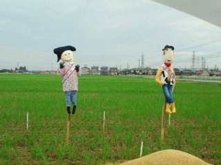 2012092314010000.jpg