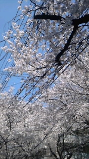 120409_1306~020001.jpg