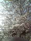 Image033.jpg