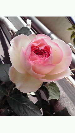 10-05-22_002~001.jpg