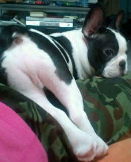 20100806202649.jpg