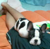 20100808231647.jpg