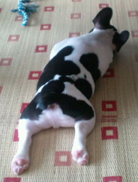 20100814090209.jpg