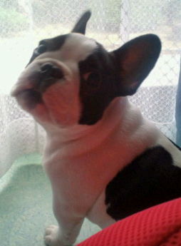 20100923151303.jpg
