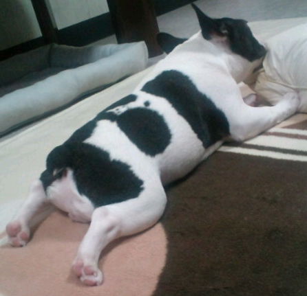 20101103203259.jpg