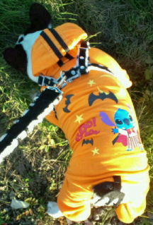 20101204161537.jpg