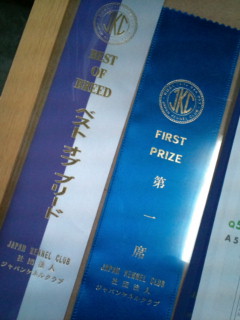 20110223165842.jpg