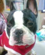 20110214171054.jpg