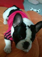 20110218225223.jpg