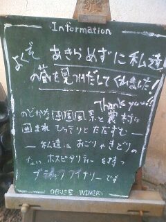120209_1127~0001.jpg