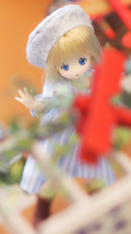 -P6130030-1.jpg