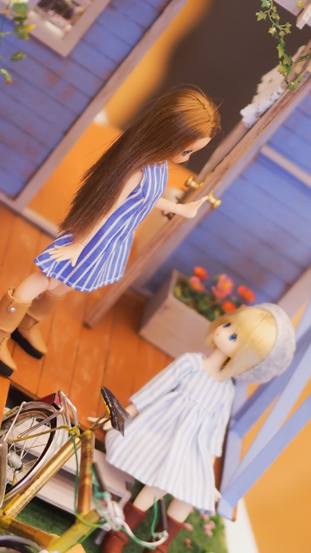 -P6130119-1-3.jpg