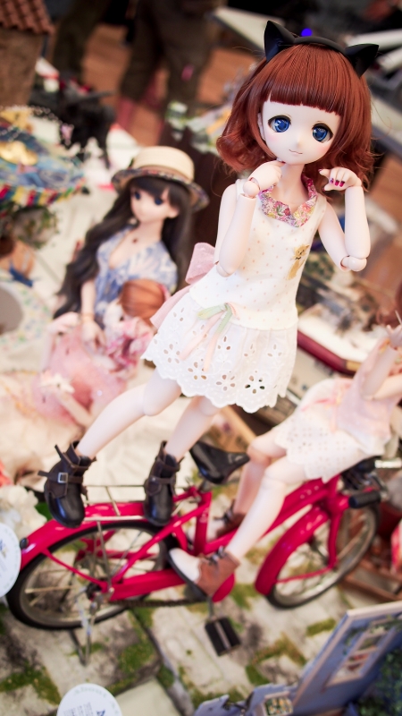 -P6140679-1.jpg