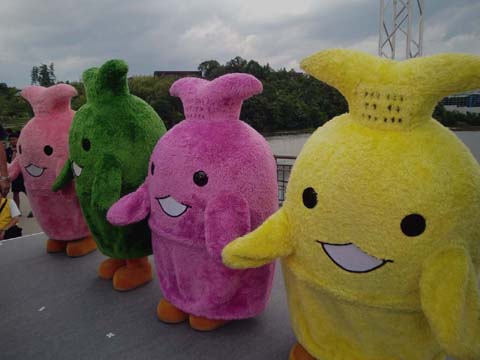 カラーキッコロ