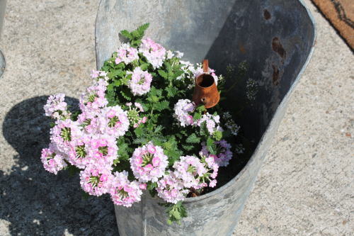 ウッドデッキとガーデニングインテリア ドロッグリ奮闘記