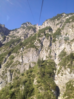 IMG_7704.JPG
