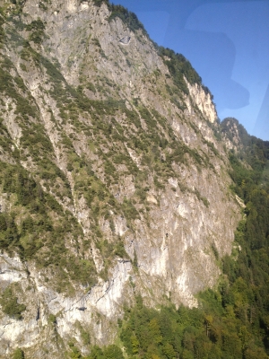 IMG_7707.JPG