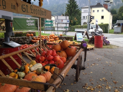 IMG_5167.JPG
