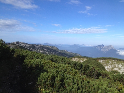 IMG_5065.JPG
