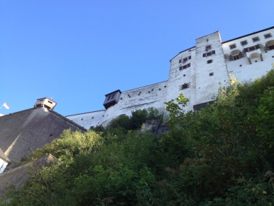 IMG_7916.JPG