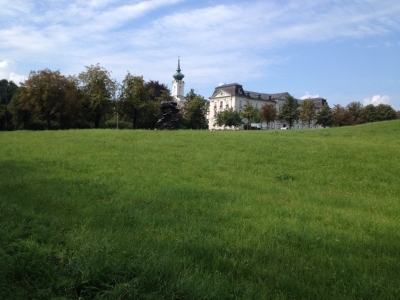 IMG_5876.JPG