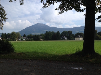 IMG_5893.JPG