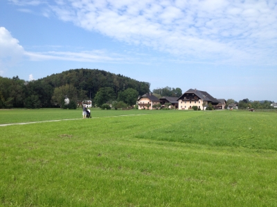 IMG_5962.JPG