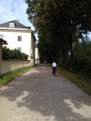 IMG_5985.JPG
