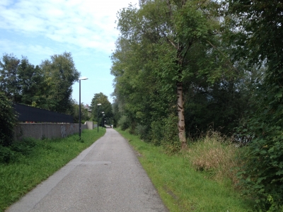 IMG_6008.JPG