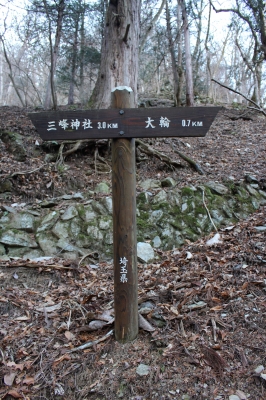1-1-33.jpg