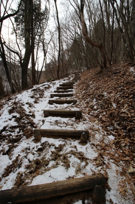 1-1-51.jpg