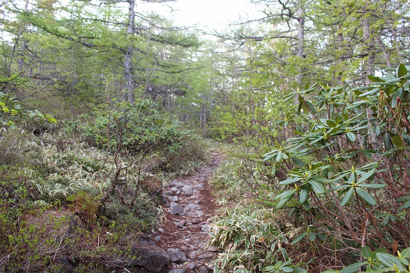 IMG_4299.jpg