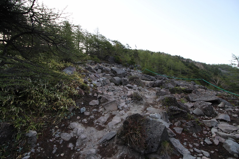 IMG_4316.jpg