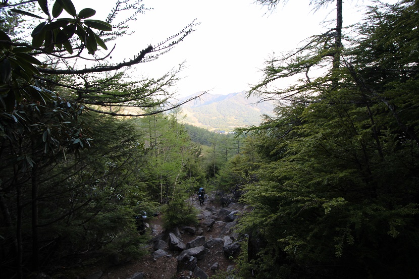 IMG_4320.jpg