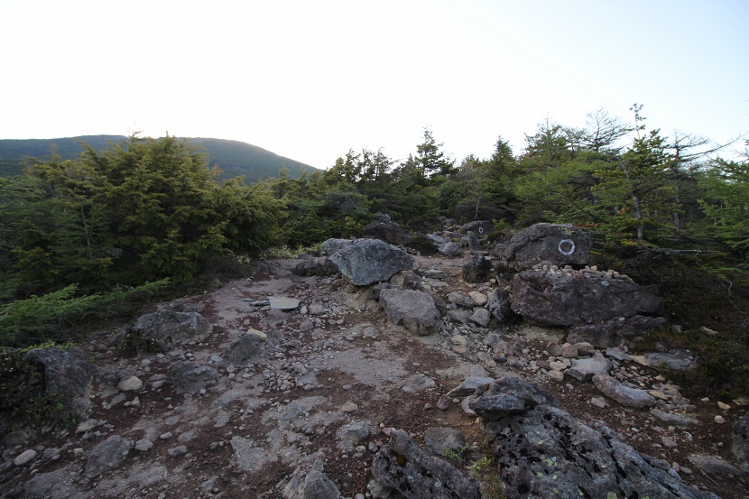 IMG_4331.jpg